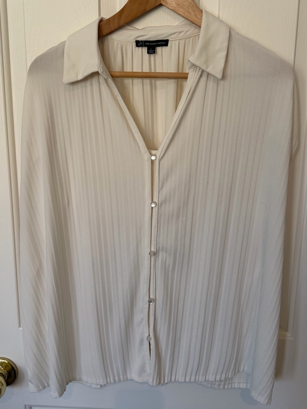 Adrianna Papell Cream Pleated Blouse